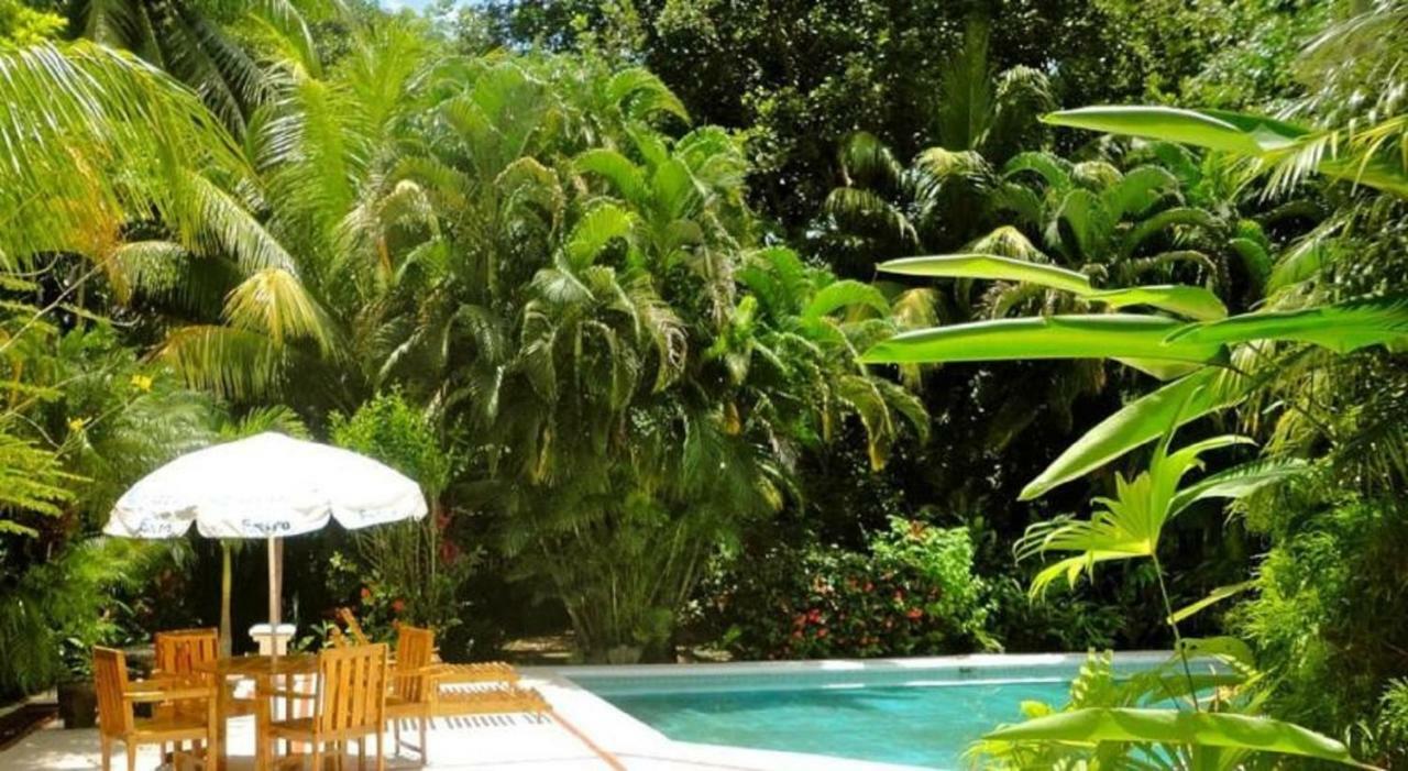 Hotel Roca Verde Beachfront Puntarenas Kültér fotó